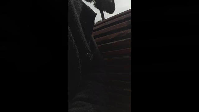 eveangelll  03-03-2022